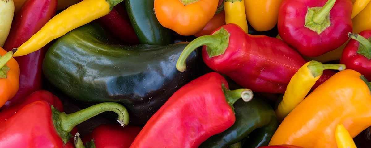 Which Bell Peppers Are the Sweetest? - Chef Gourmet LLC