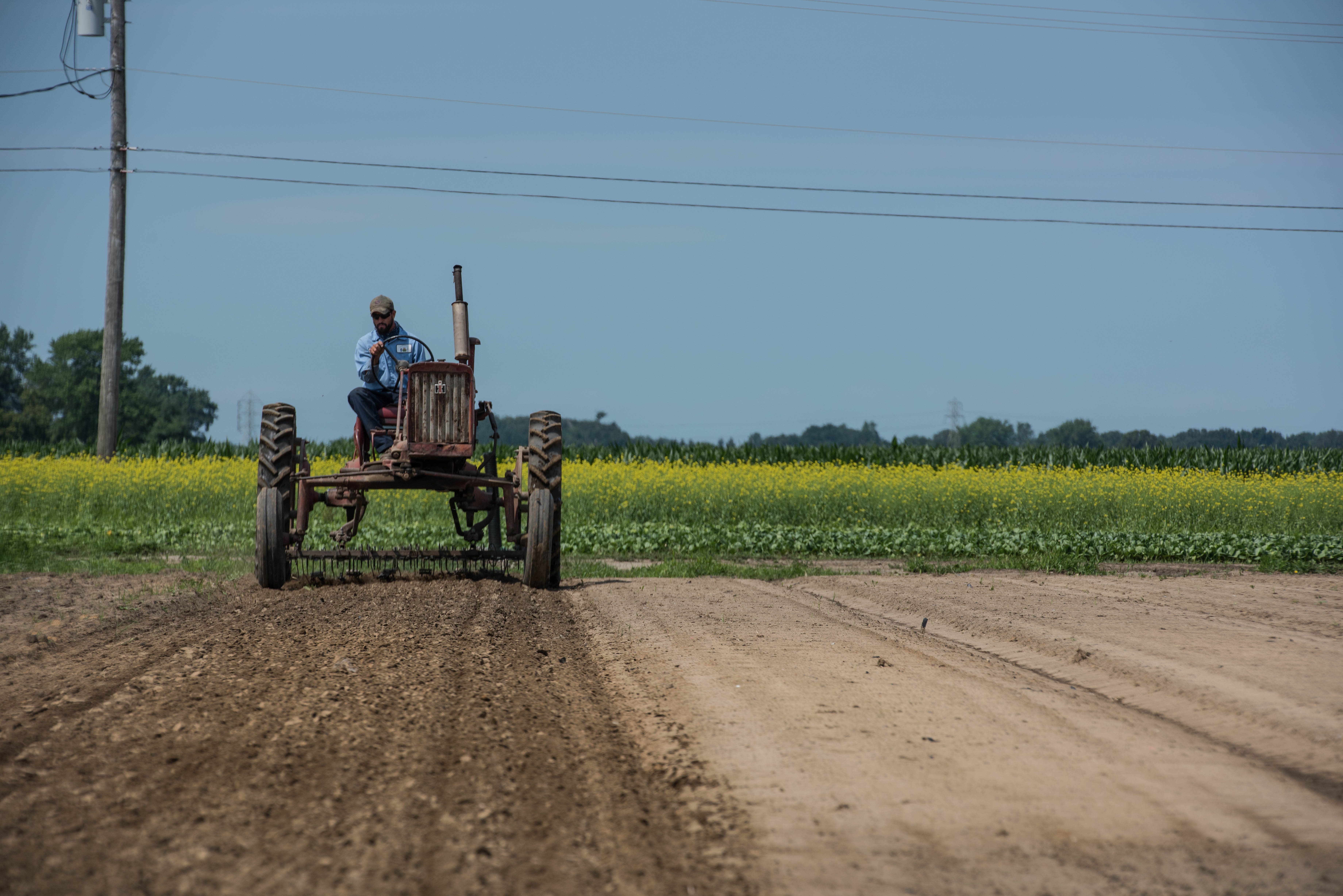 Benefits Of Cover Crops, Carbon Sequestration & Regenerative Farming ...