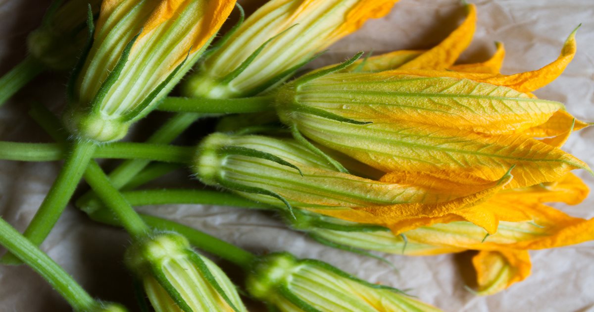 Healthy as a horse? With summer squash, you can bet on it | The Chef's ...