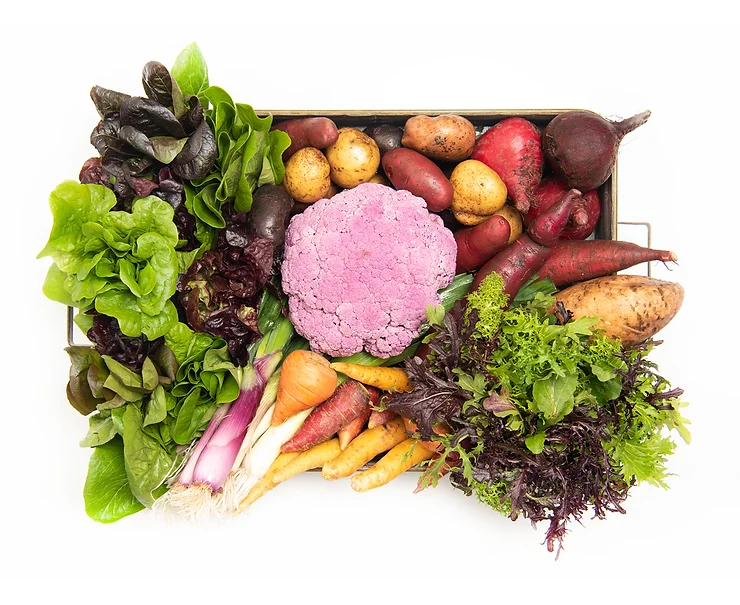 Ten unique gifts for home cooks: our top recommendations