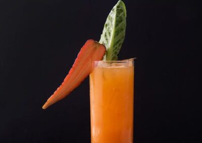 Tropical Carrot Juice
