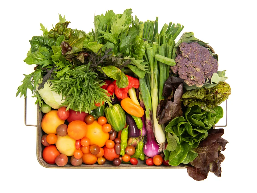 Nourish Their Well-being: The Perfect Holiday Gift – Vegetable Boxes!
