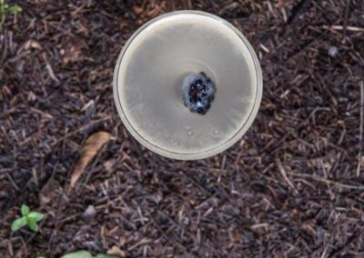 Hendrick’s 75 Cocktail