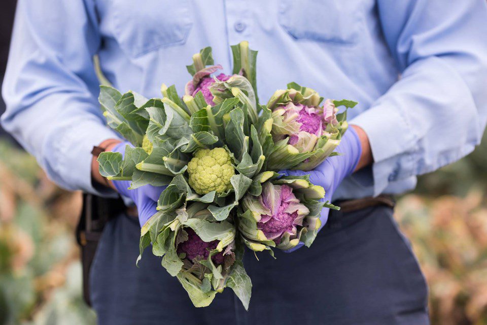 2018 Food Trend: Chefs Replacing Grain Carbs with Vegetables Carbs