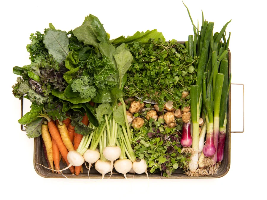 Digestive Health Box: Full of Delicious Farm-Fresh Vegetables