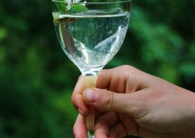 Elderflower Martini