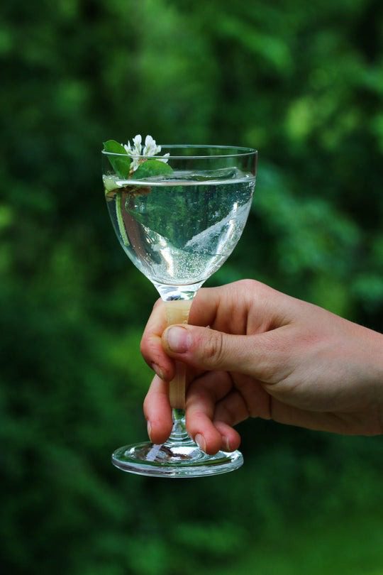 Elderflower Martini