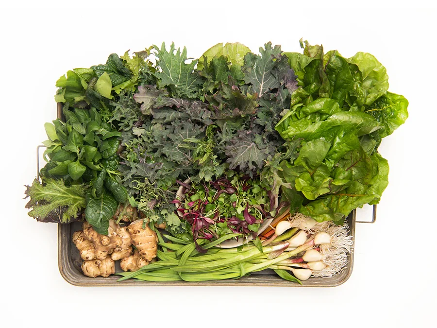 Enjoying Heart Healthy Foods: Flavorful, Too!