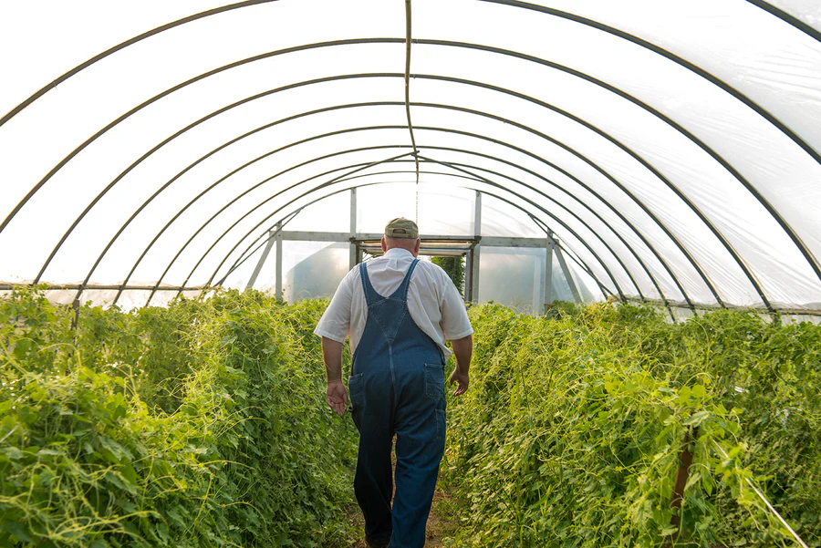Celebrating the Footprints of the Grower