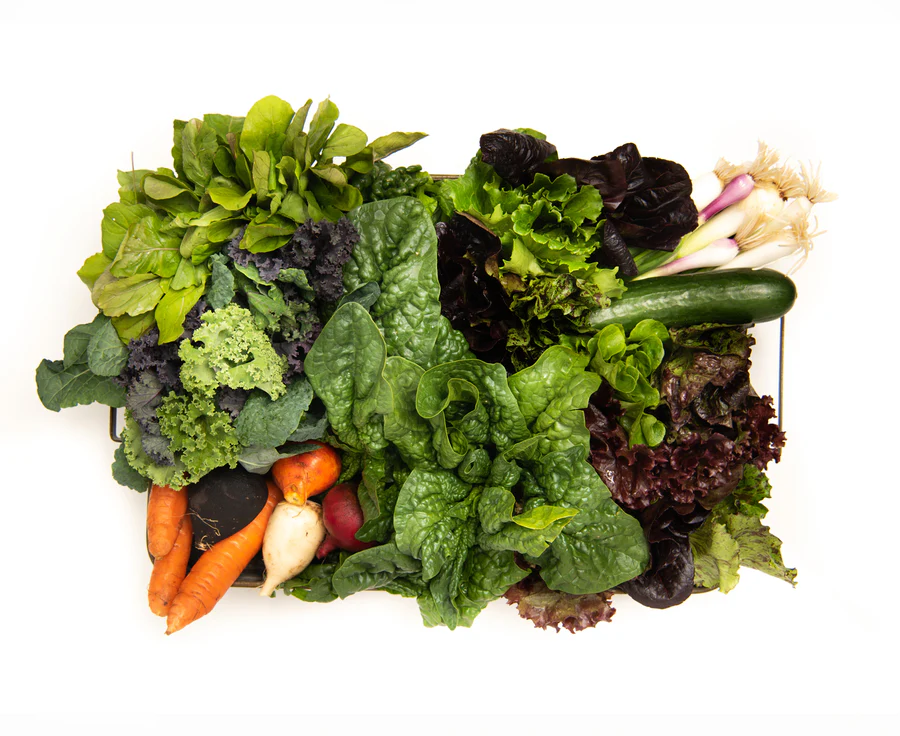 Farm-fresh salads: flavorful, nutritious, and incredibly versatile