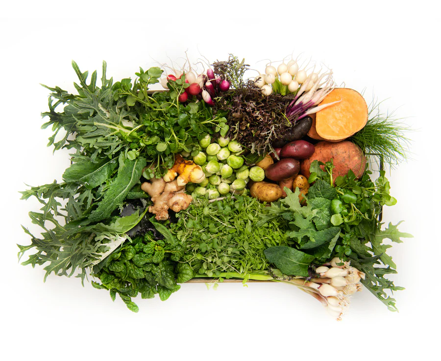 Farm-Fresh Vegetables: Maximum Flavor AND Nutrition