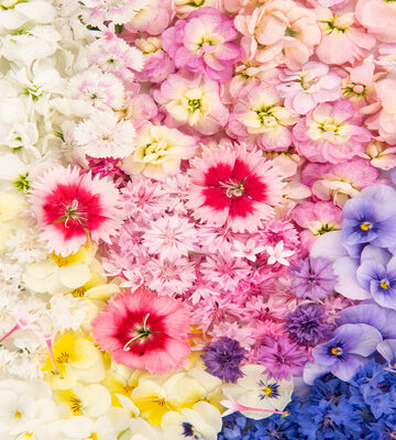 Spring Pastel Mixed Flowers