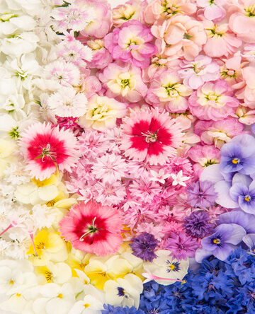 Spring Pastel Mixed Flowers