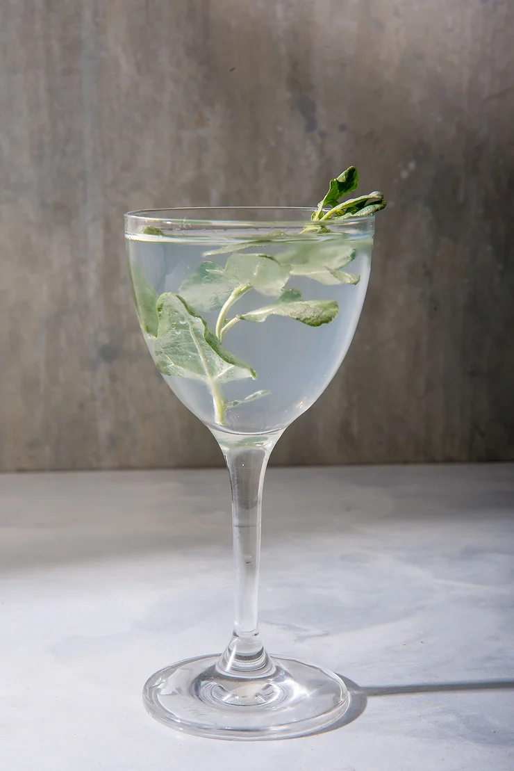 Saltbush: Plating Techniques