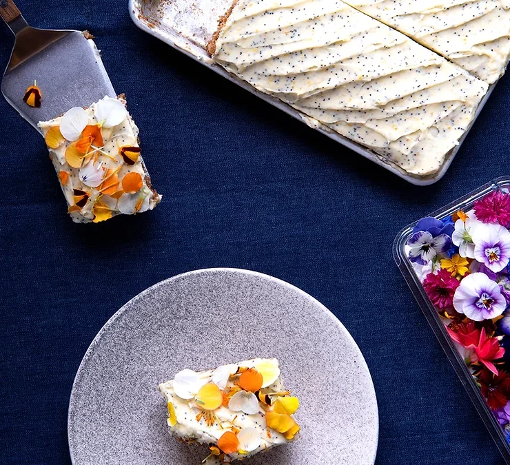 Carrot Cake Recipe with Chevré Frosting