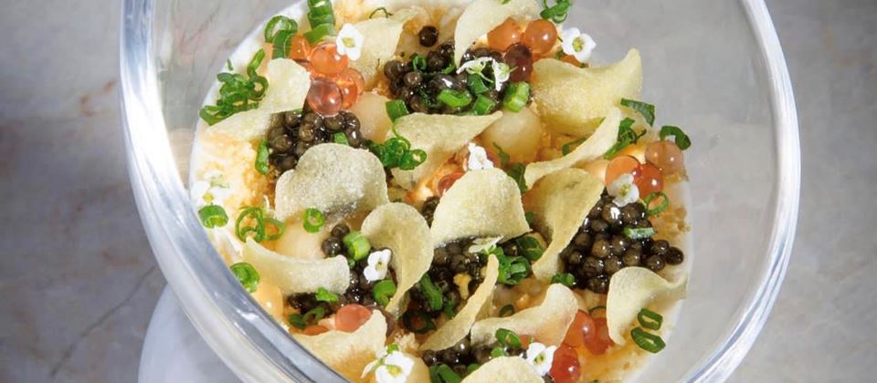 Edible Flowers: A Look at Sweet Alyssum