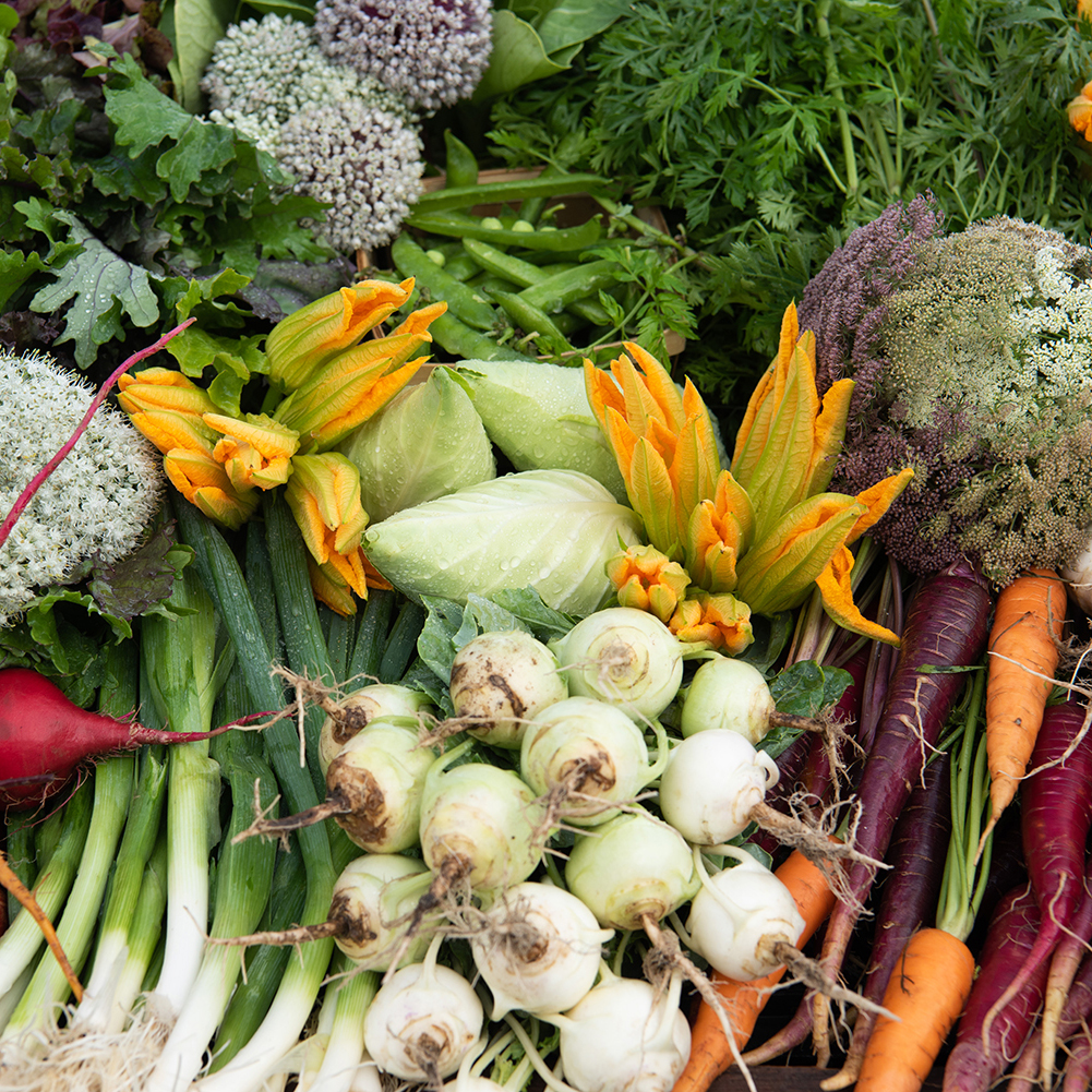 All-Vegetables The Chef's Garden