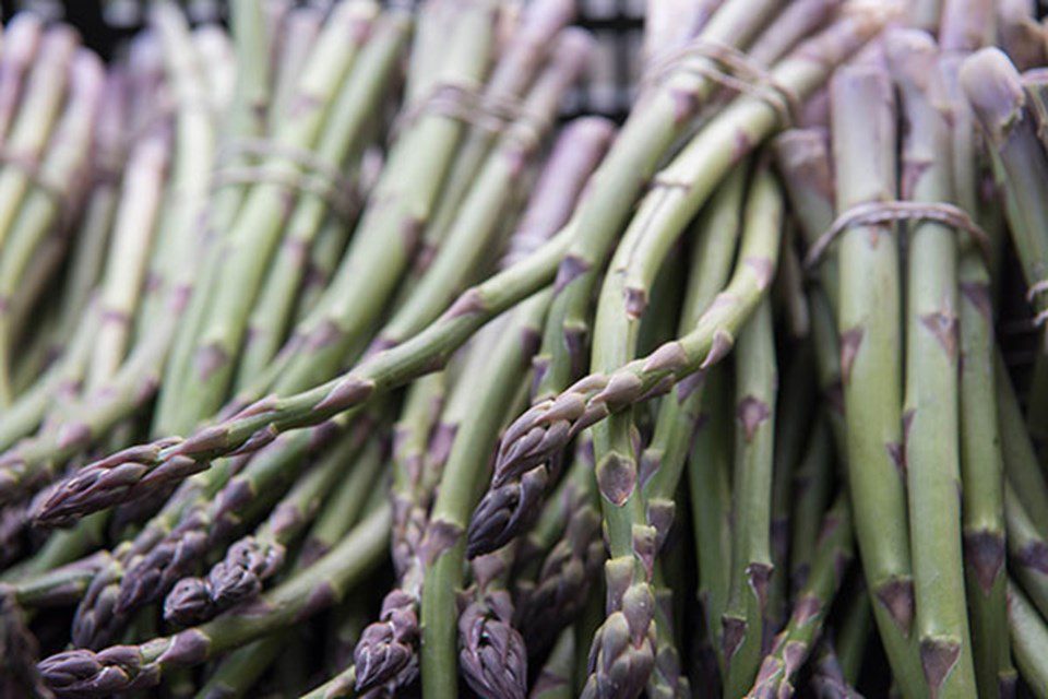 Appeal of Fresh Asparagus: From Ancient Times Until Today