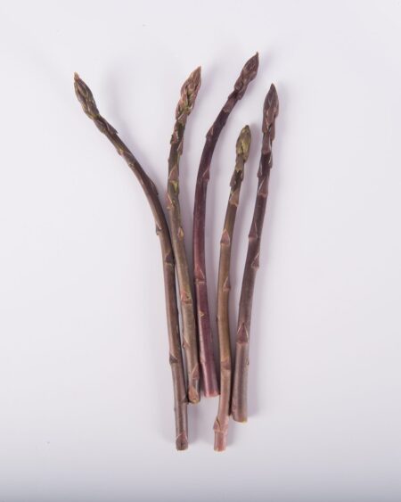 Purple Asparagus