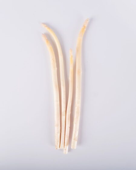 White Asparagus