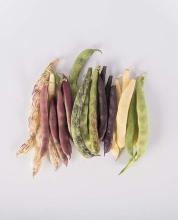 Romano Beans
