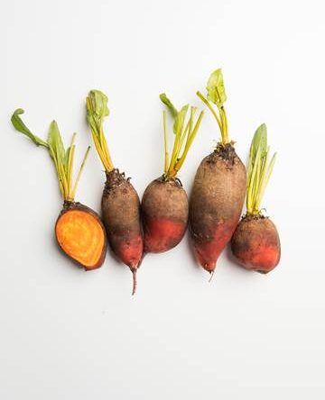 Badger Flame Beet
