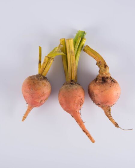 Gold Beet