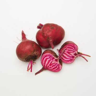 Candy Stripe Beet
