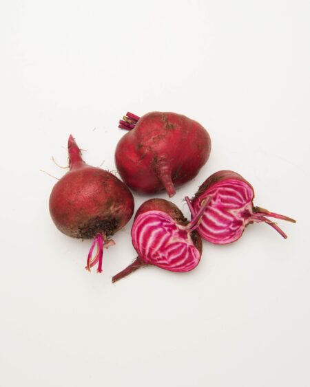 Candy Stripe Beet