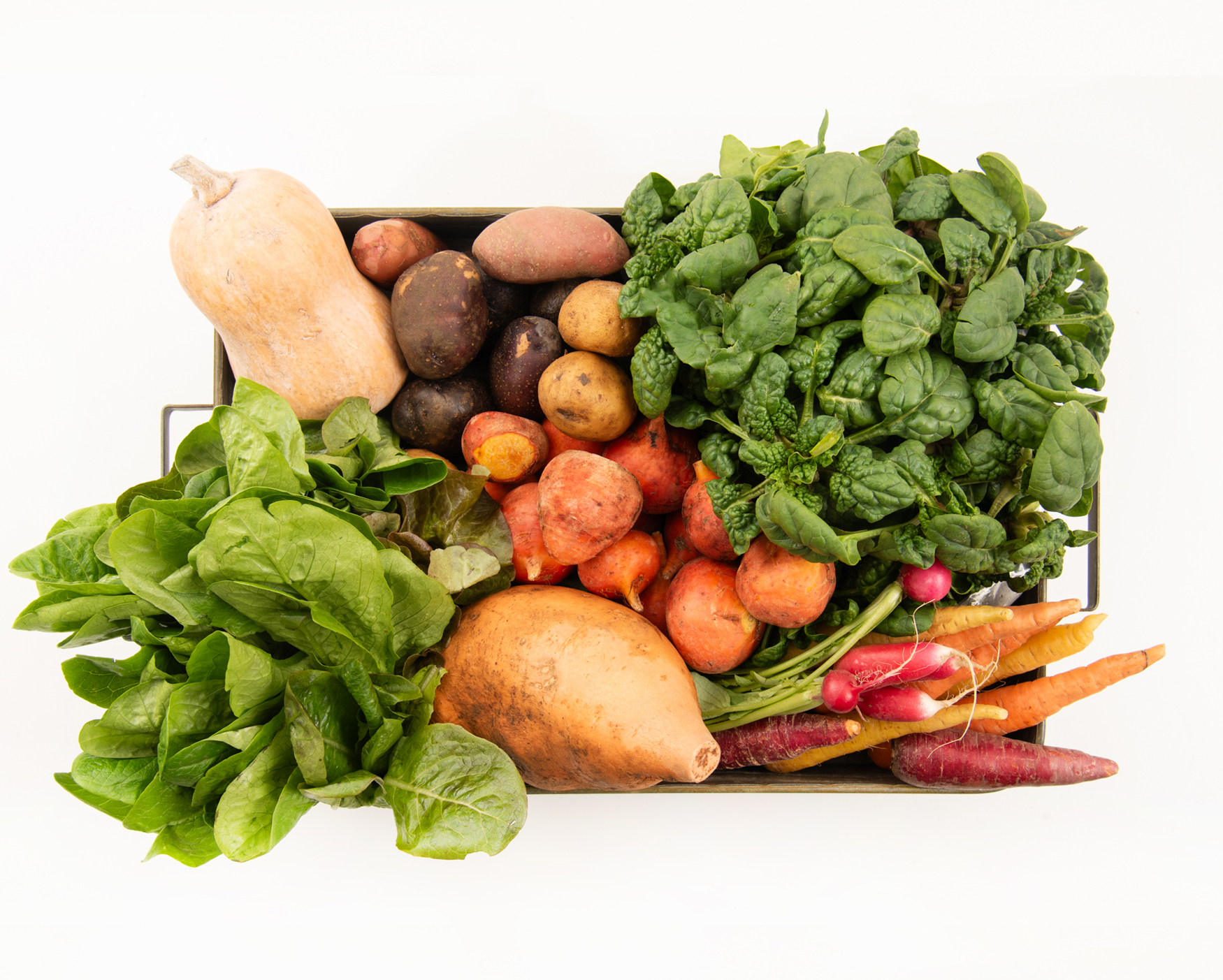 Best of the Season Box Subscription