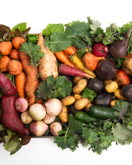 Best of the Season Box Subscription