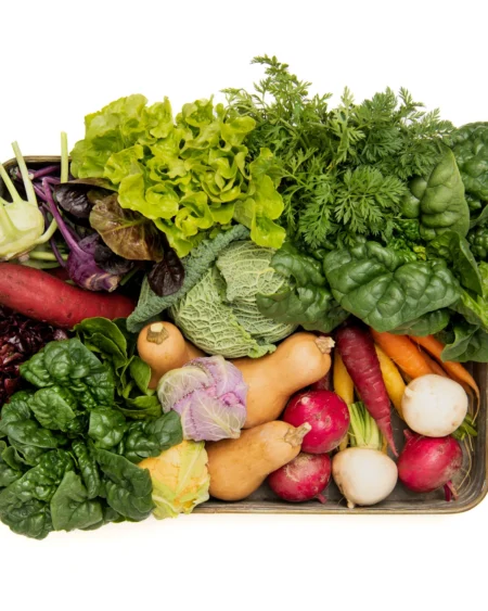 Curated Boxes
