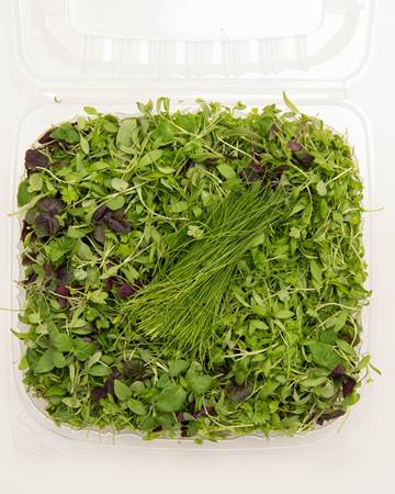 Micro Asian Fines Herbs