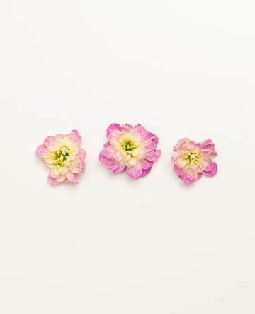 Blush Rose Mini Floret