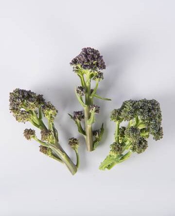 Broccoli
