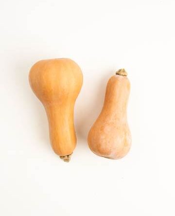 Butternut 898 Squash