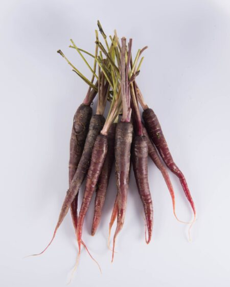 Cobalt Carrot