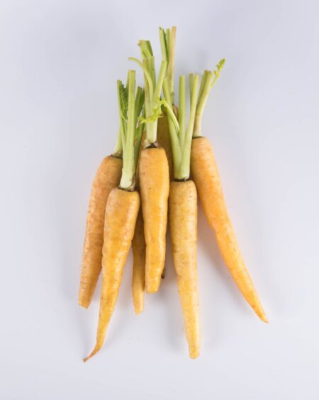 Yellow Carrot