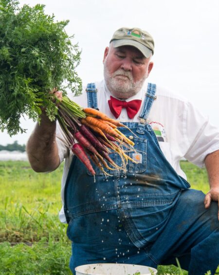 Ice Carrots