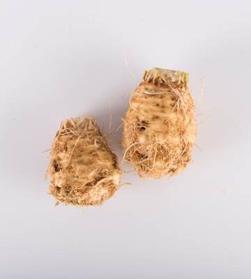 Celery Root