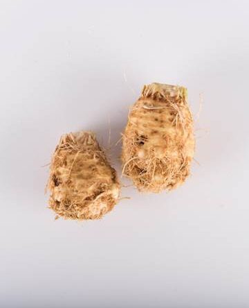 Celery Root