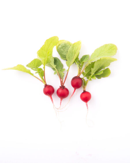 Petite Cherry Bomb Radish