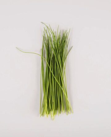 Chives