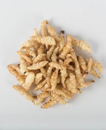 Crosnes