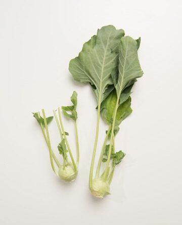 Green Kohlrabi