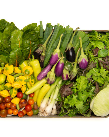Eat the Rainbow Box