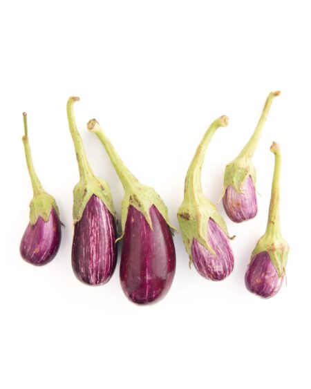 Annina Eggplant