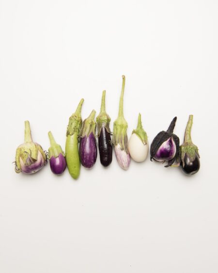 Mixed Eggplant