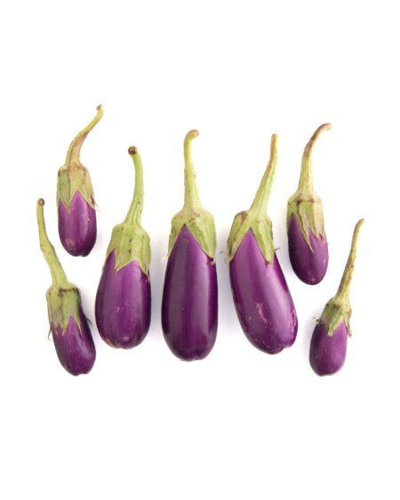 Dancer Eggplant