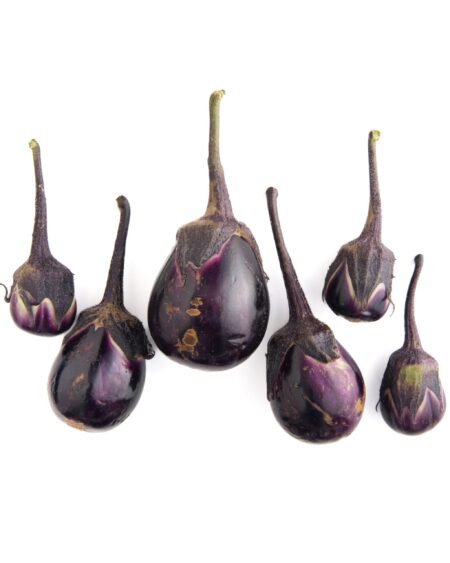 Japanese Water Eggplant
